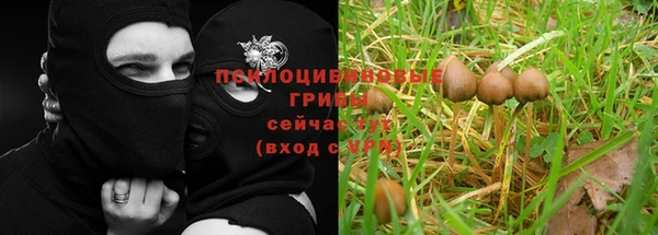 МДПВ Вязьма