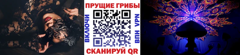 нарко площадка какой сайт  Меленки  Псилоцибиновые грибы Psilocybine cubensis 
